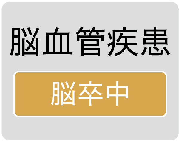 脳血管疾患
脳卒中
